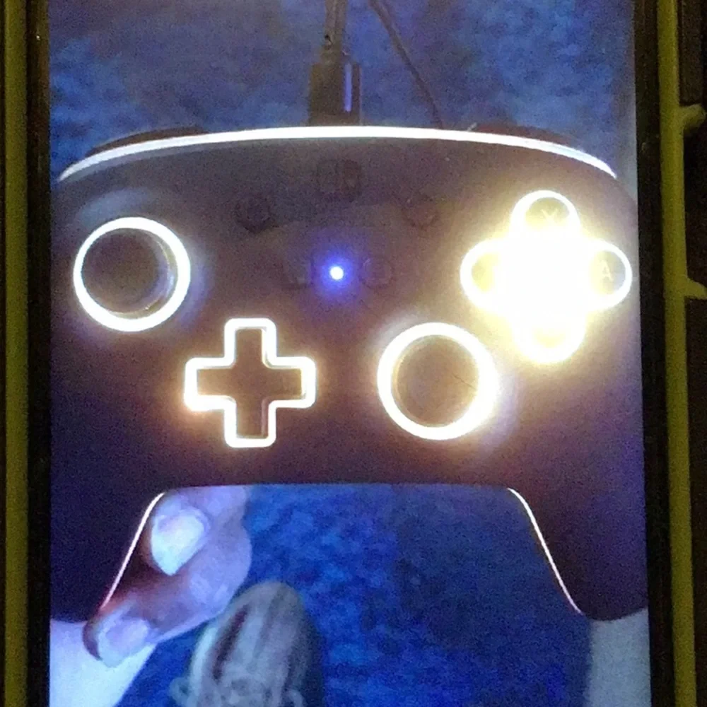 NIB switch controller